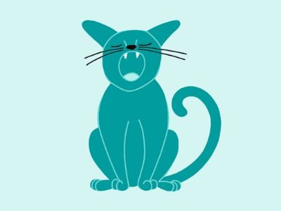 Arby's - Domestic Shorthair Male Cat for Adoption