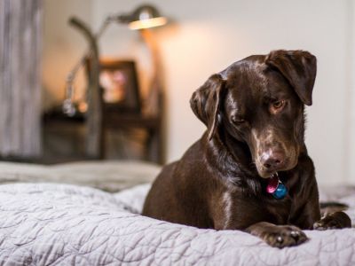 Bedding Boutique For Sale (flexible schedule, $180K cashflow)