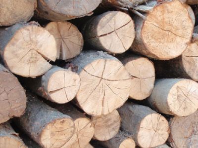 Split Fire Wood or Whole rounds