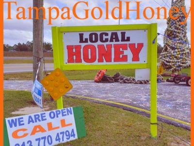 Tampa Local Honey,Tampa Local Honey Near Me