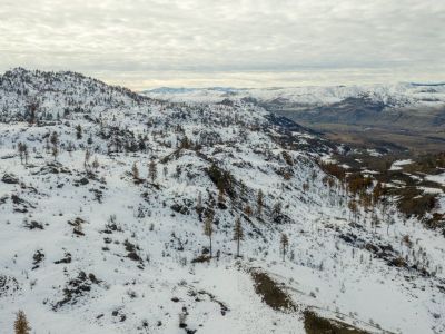 40 Acres near Soap Lake Rd, Okanogan WA