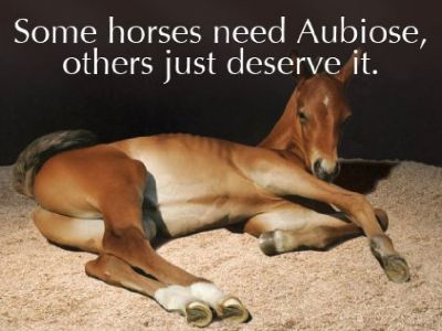 USA -Natural Hemp Horse Bedding New York