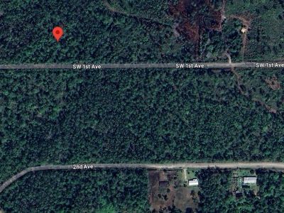 Stunning 2.5 Acres in Palatka – Only $9,000 Down!