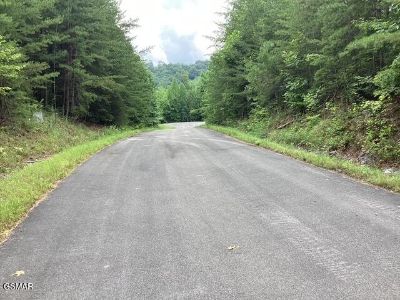 Lots and Land For Sale in Walland, TN