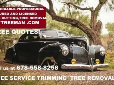 AFFORDABLE CUTS TREE SERVICE. (678)558-8258 mytreeman.com  FREE ESTIMATES