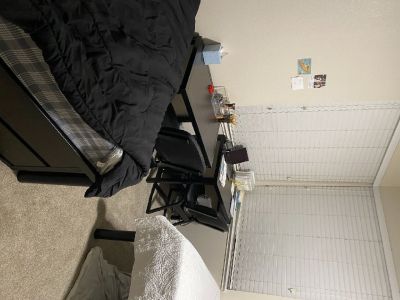 Apartment sublease