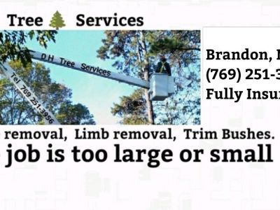 Tree Removal