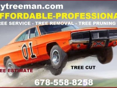 TREE SERVICE -TRIMMING -TREE REMOVAL Service 🌳🌲 (✅FREE ESTIMATES METRO ATLANTA