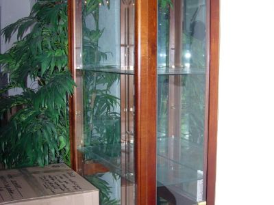 curio /collectors cabinet