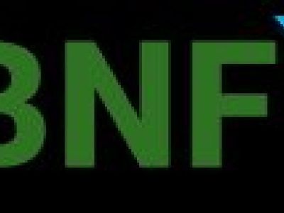 BNF Consulting, Inc.