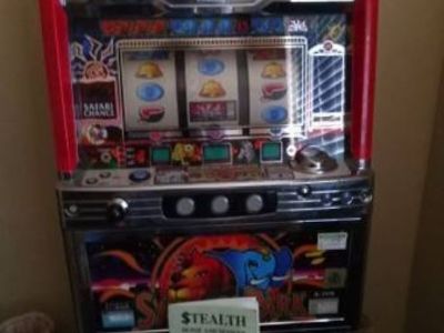 Savanna park japanese token amusement gaming slot machine flawless