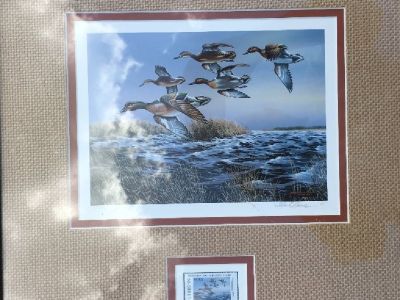 Duck stamp prints