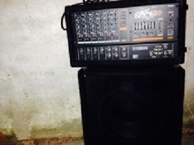 PA system (EMX620 mixer and a Peavey TLS-2X speaker cabinet in Philadelphia, PA