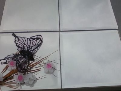 Butterfly Mirror