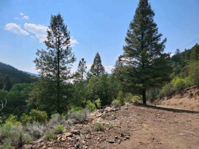 Lots And Land For Sale in Taos, NM
