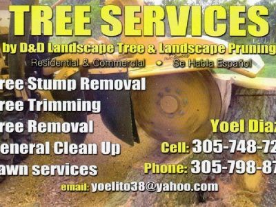 Tree Removal & Stump Grinding