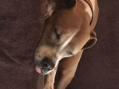 Seeking Someone to House Share