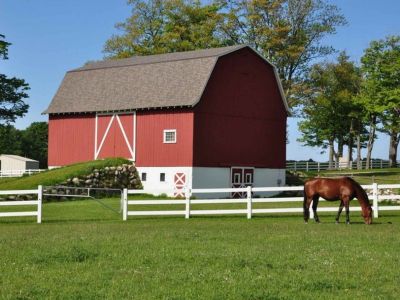 Wanted: barn help