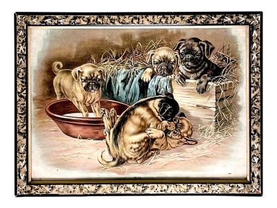 Five Playful Pugs Getting Into Mischief, Lithograph by J. Ottman Dated 1894, Framed