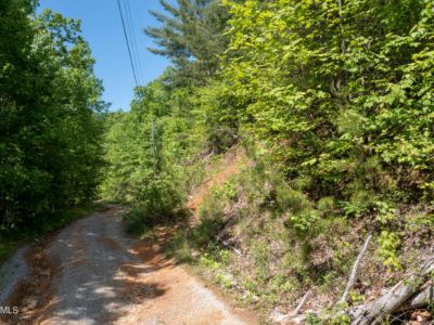 Land For Sale in Sevierville, TN