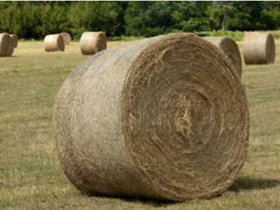 Round bale for sale in wallkill ave