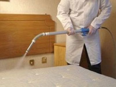 Best Treatment For Bed Bugs in Milwaukee