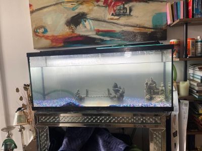 55 Gallon Fish Tank Aquarium with $$$ Accessories 48x21x13 in FISH AQUARIUM