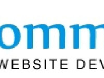 Ecommerce Web Site Development