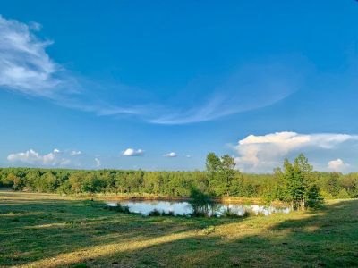 39 Acres in McCurtain County