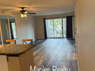1 Bedroom 1BA 657 ft Apartment For Rent in Branson, MO