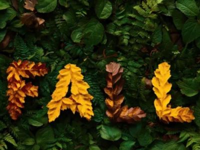 Slow Down Season! Therapeutic and Maintenance Services!