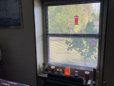 Joey (Has a House) on iROOMit. Room in the 1 Bedroom 1BA House For Rent...