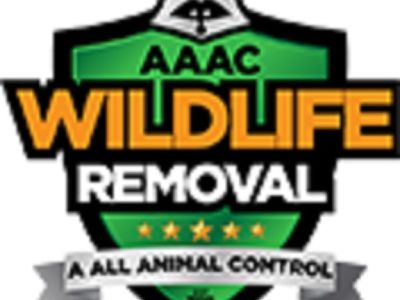 AAAC Wildlife Removal of Cincinnati