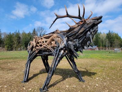 Driftwood Artwork