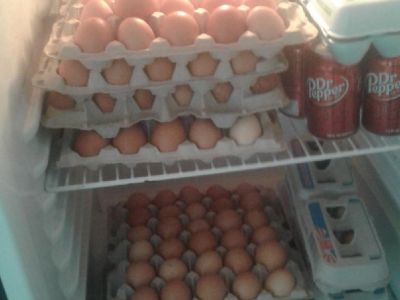 farm fresh brown eggs