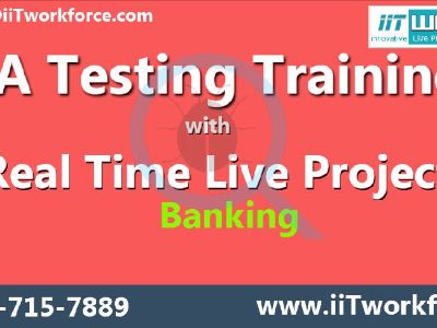 QA Real-time Project Workshop on Banking Domain from IIT Workforce