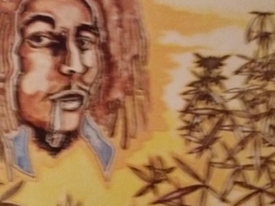 BOB MARLEY and THE WAILERS ALBUMS (1978)