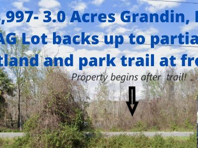REDUCED!!! $8,500- 3.0 Acres Grandin, FL AG Zoned lot with wetlands at the back for wildlife!