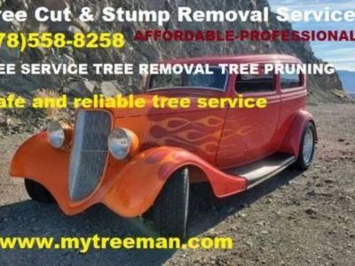 TREE SERVICE -TRIMMING -TREE REMOVAL Service 🌲 (✅FREE ESTIMATES METRO ATLANTA