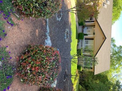 Room For Rent In Beautiful Home in Placerville
