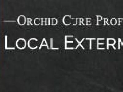 OCP Bed Bug Exterminator Brooklyn NY - Bed Bug Removal