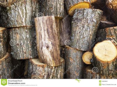 LARGE WOOD LOGS/STUMPS, DRIED FLORAL & CHILI WREATHS, & PINE CONES FOR SALE