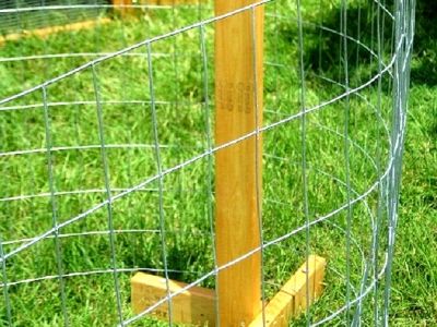 CHRISTMAS SPECIAL - Portable Chicken Yard (Garden) Fence Posts For Free Range Chicken Coop