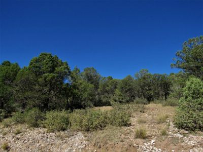 2.01 acres combined in 23 & 29 Calcite Dr. Timberon, NM