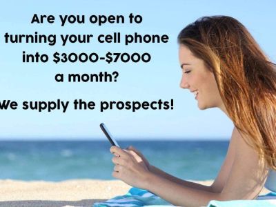 Do you have a smart phone you would be open to making money with?