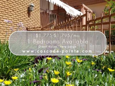 Very Large 1 Bed/1 Bath - Great Value, Large Patio