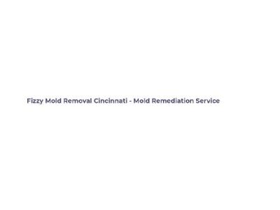Fizzy Mold Removal Cincinnati - Mold Remediation Service