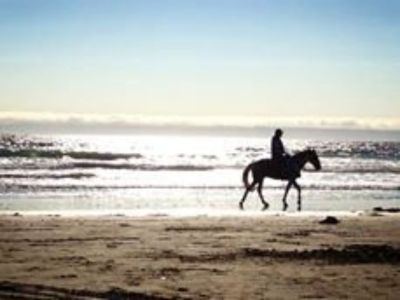 Vacation area - CALIFORNIA