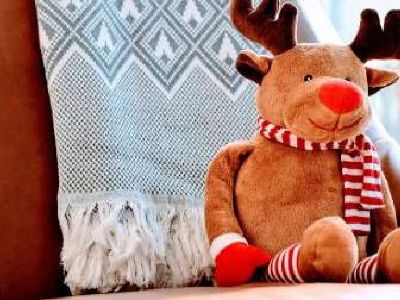 Carpet cleaning Orange County - 100% Satisfaction Guarantee