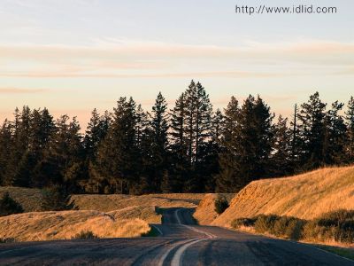 International Driving License